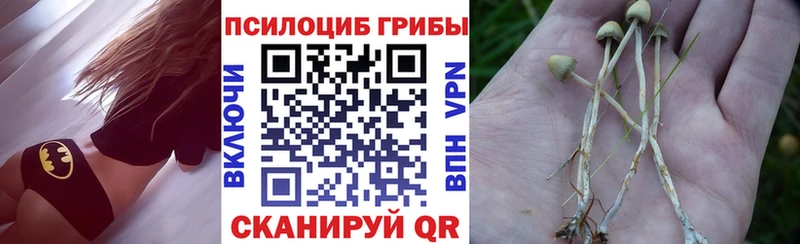 это какой сайт  Дзержинск  Псилоцибиновые грибы ЛСД  цена  
